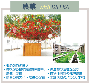 農業 with DILEKA